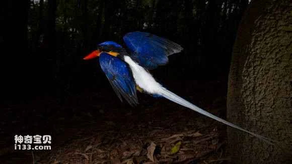 2023042527312178.jpg 52f92811b912c8fcacc5021df7039245d788219b_九雷图片转换器.jpg