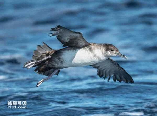 2023031171576163.jpg 91ef76c6a7efce1b9d16ba5b8207e4deb48f8c54cf5e_九雷图片转换器.jpg