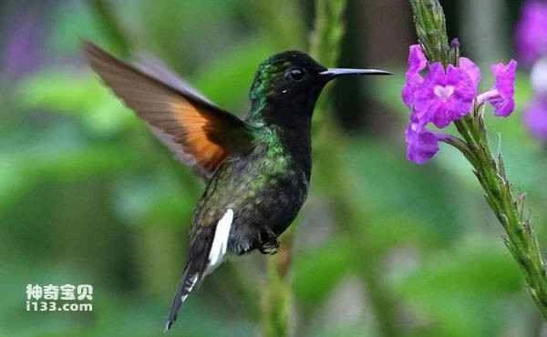 2023033019553523.jpg ff0b2216af9a5d1085451d42d94513e8_九雷图片转换器.jpg