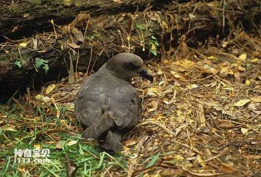 2023031264091876.jpg 21a4462309f79052ce0d910008f3d7ca7bcbd5fa_九雷图片转换器.jpg