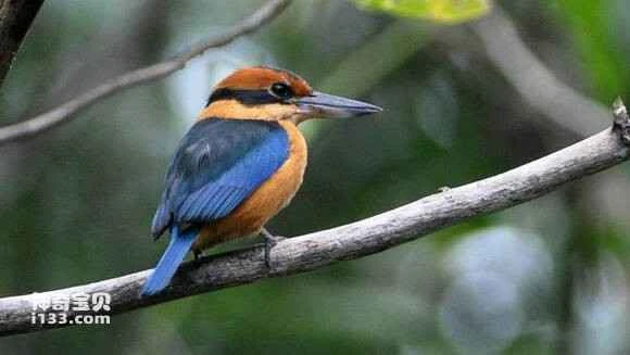 2023042980890075.jpg 866cc7d2fd1f41342f92510b281f95cad0c85e95_九雷图片转换器.jpg