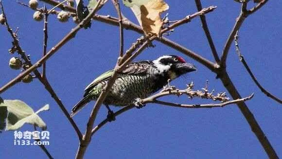 2023051461891402.jpg 56b4c8eece1b9d16d8f17ea4f9deb48f8d5464b0_九雷图片转换器.jpg