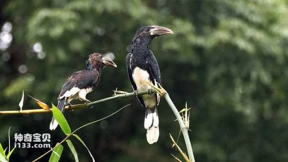 2023050311697389.jpg 5b8665d062d9f2d3a5ef8824a4ec8a136127ccf7_九雷图片转换器.jpg