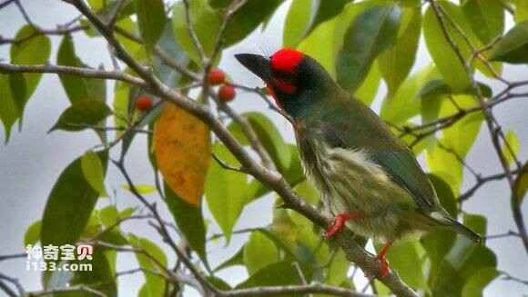 2023051719044806.jpg f17bdcdf9c82d15897b6d8848b0a19d8bc3e4246_九雷图片转换器.jpg