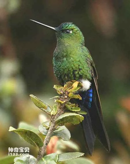 2023033021112765.jpg 279759ee3d6d55fb51b411ba6d224f4a20a4dd38_九雷图片转换器.jpg