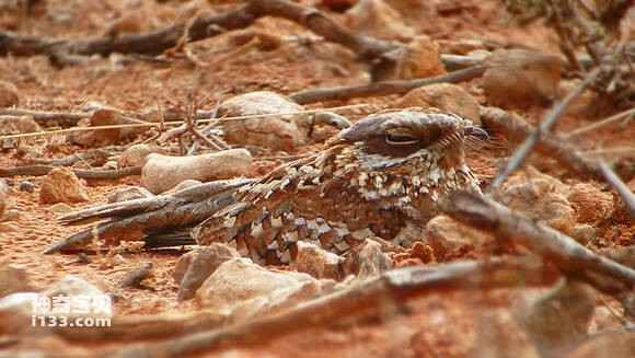 2023041770889989.jpg 3f428625b899a901541b00e614950a7b0308f5a3_九雷图片转换器.jpg