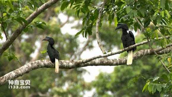 2023050518106410.jpg 0eafcccd7cd98d10ebf3cd0b2f3fb80e7bec905d_九雷图片转换器.jpg