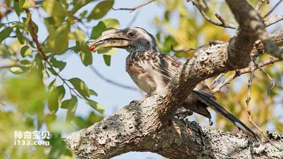 2023050417068421.jpg cb8a754d510fd9f9868701502b2dd42a2934a4ee_九雷图片转换器.jpg