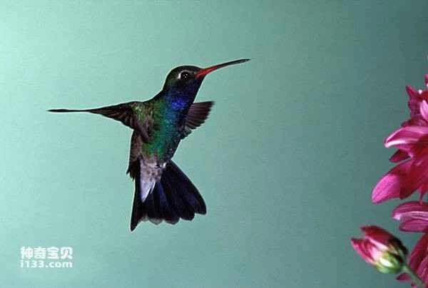 2023032911217516.jpg e51d64aa19261cd2476a0d40bce397ac_九雷图片转换器.jpg