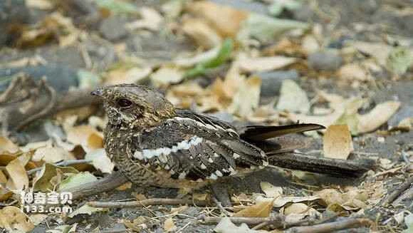 2023041869291890.jpg e965103f6709c93db9606525963df8dcd30054c1_九雷图片转换器.jpg