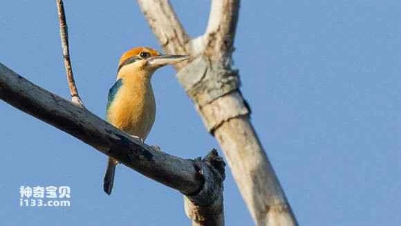 2023042941102495.jpg 070df12e07082838029c8861b599a9014d08f1a1_九雷图片转换器.jpg