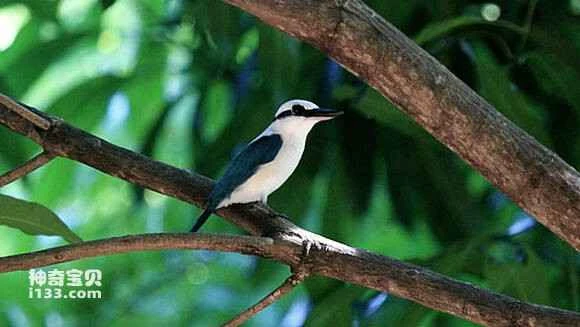 2023042911557706.jpg 987c14ed54e736d10e247c7f96504fc2d5626901_九雷图片转换器.jpg