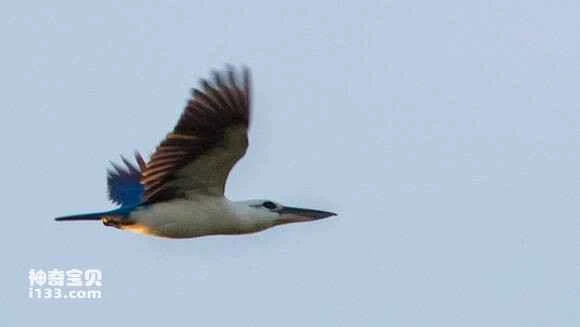 2023042921306706.jpg 987c14ed54e736d1a5ade57d96504fc2d46269f8_九雷图片转换器.jpg