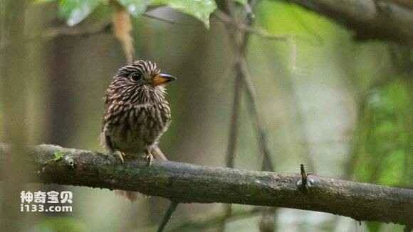 2023050983973466.jpg 43550dd1f703918ffa3a340b5b3d26975beec4ff_九雷图片转换器.jpg