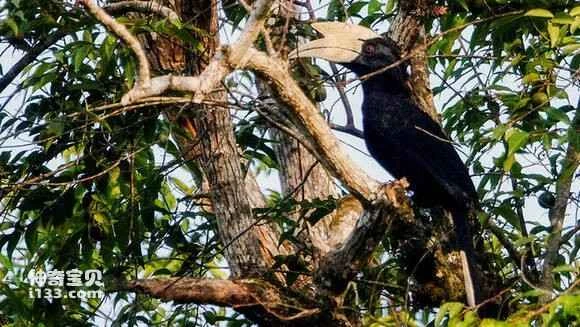 2023050411382302.jpg 16a1ba38b6003af3ea3f195a3b2ac65c1138b6f3_九雷图片转换器.jpg