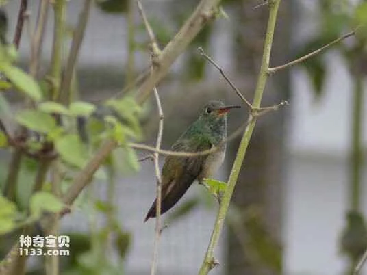 2023032316429441.jpg 1f178a82b9014a90485531eead773912b31bee7e_九雷图片转换器.jpg