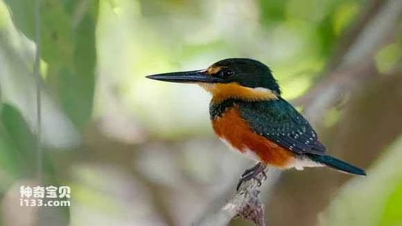 2023043017920894.jpg 88a1921e4134970a6212ed5398cad1c8a6865dd8_九雷图片转换器.jpg