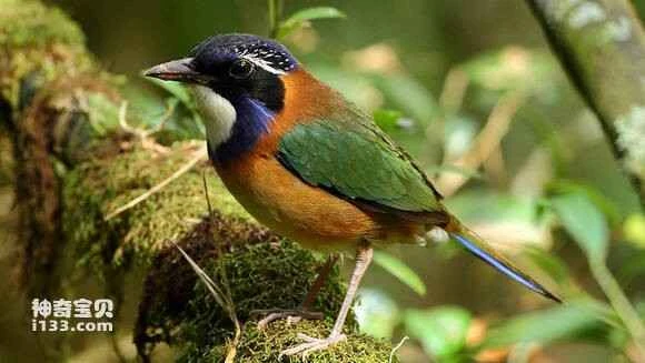 2023042115289205.jpg 7eade2b0cb13495409eed5b25c4e9258d3094ae2_九雷图片转换器.jpg