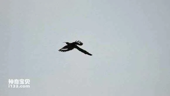 2023042021256137.jpg 8d463683b2b7d0a281627a7bc1ef76094a369a24_九雷图片转换器.jpg