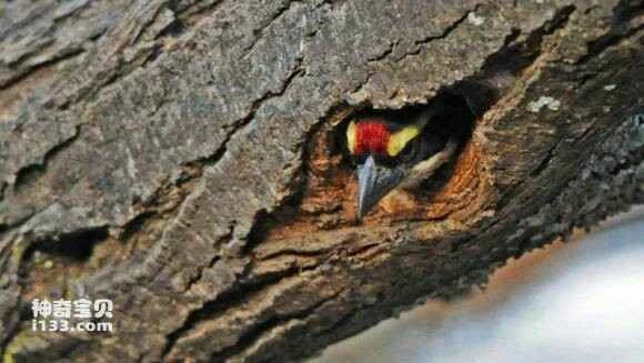 2023051420646084.jpg a1b956dab6fd5266a72ec4d1a118972bd5073665_九雷图片转换器.jpg