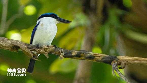 2023042777957475.jpg e965103f6709c93df559a4c8933df8dcd00054dd_九雷图片转换器.jpg