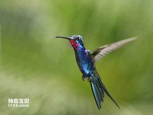 2023040218699596.jpg 902397dda144ad341d949781d4a20cf431ad8588_九雷图片转换器.jpg