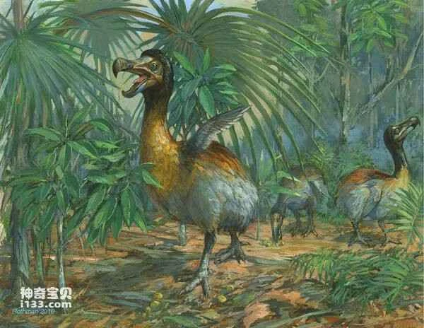 2023022673749447.jpg 53a7fbce53d5020959da7243a01b57ef_九雷图片转换器_九雷图片转换器.jpg