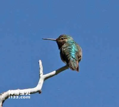 2023032031969129.jpg 1b864895a071d0f20d3466a4c8293958_九雷图片转换器.jpg