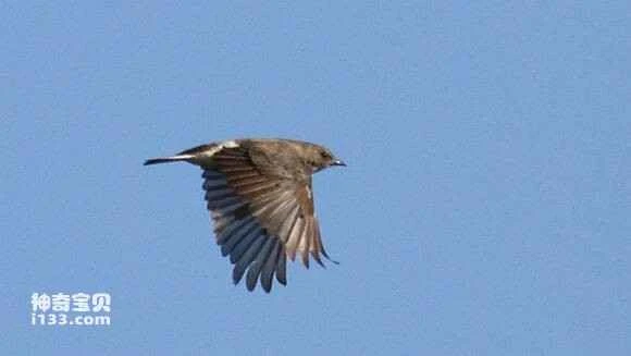 2023051820217504.jpg f54bd9013af33a87e0278e2fcd5c10385343b534_九雷图片转换器.jpg