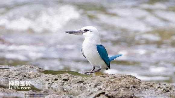 2023042987295039.jpg c9225a2bc65c10383918a7b7bf119313b17e89d0_九雷图片转换器.jpg