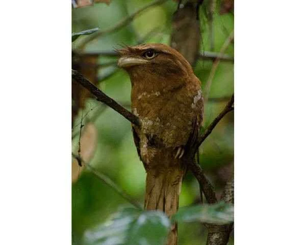 2023041315574453.jpg b58f8c5494eef01f3a297080ffab8e25bc315c60d763_九雷图片转换器.jpg