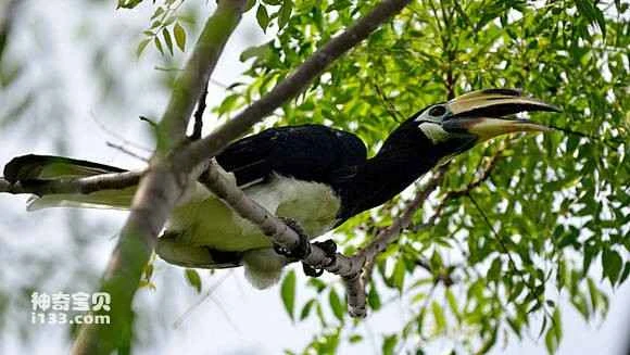 2023050416311537.jpg 98ebc6004c086e068bbce7710c087bf40ad1cb6c_九雷图片转换器.jpg