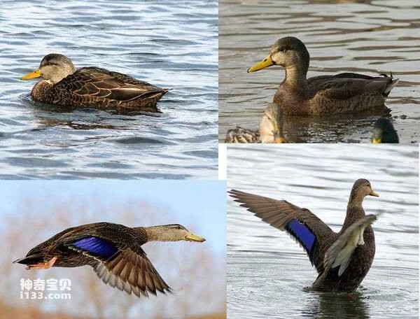 2023030213607872.jpg 509d4f16e364ac096c4c819340d481b4_九雷图片转换器.jpg