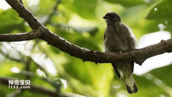 2023051812817194.jpg 055fbb2b2834349b1566feb2c2ea15ce36d3be1c_九雷图片转换器.jpg