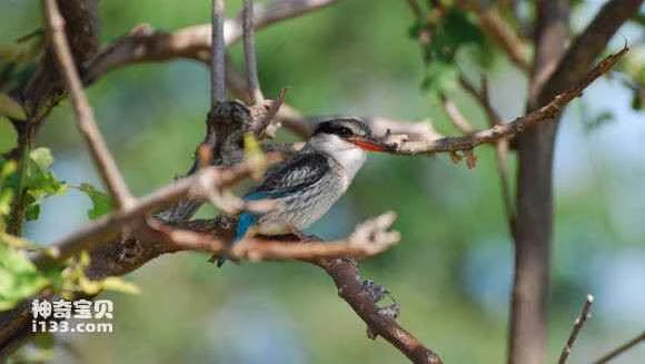 2023042775722320.jpg 14e96c3a5bb5c9ea14d48b37de39b6003bf3b3b6_九雷图片转换器.jpg