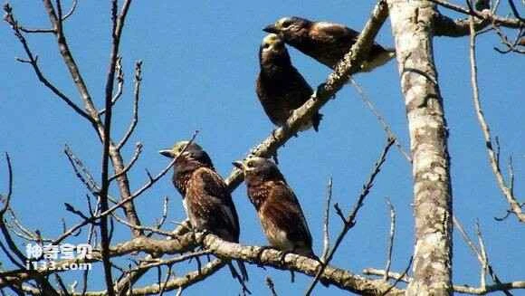 2023051418814287.jpg 899ee512632762d02408507aaaec08fa503dc6b1_九雷图片转换器.jpg