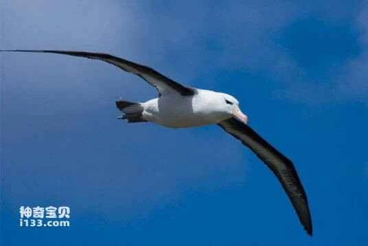 2023031332700049.jpg 29381f30e924b899181a2d4b64061d950a7bf69b_九雷图片转换器.jpg