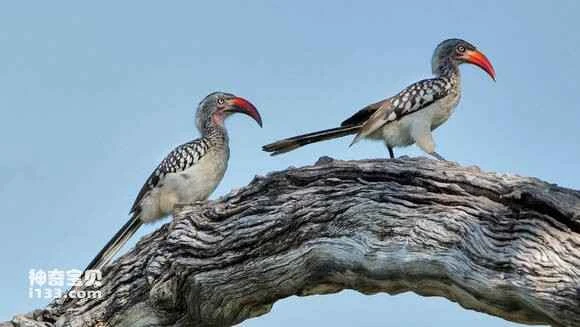 2023050314018474.jpg ad626ee83901213f69a36beb5ae736d12e2e95ec_九雷图片转换器.jpg