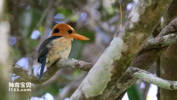 2023042916019212.jpg b1fdcfed08fa513de9a89ea9306d55fbb2fbd93f_九雷图片转换器.jpg