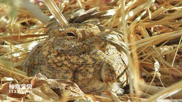 2023041715297514.jpg 7c125ba95edf8db1f040858e0023dd54574e7465_九雷图片转换器.jpg