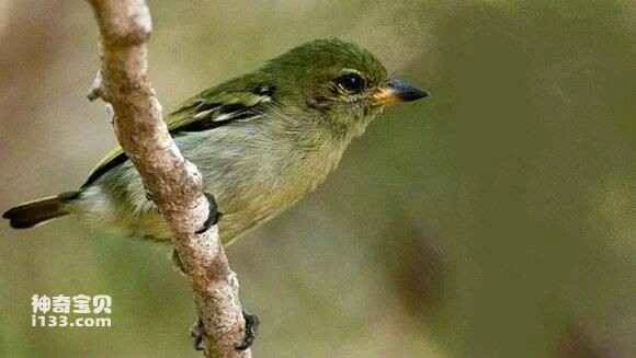 2023051425504620.jpg 717db6f8d72a6059d0ab17df2234349b023bba34_九雷图片转换器.jpg