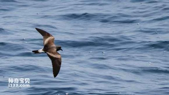 2023031512499576.jpg 6762d613c8fcc3ceab9636ed9845d688d53f2009.jpg