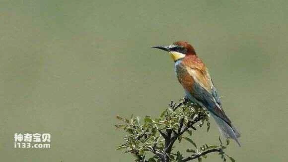 2023042121143521.jpg 5cabe21101e9390162e119e271ec54e734d196fa_九雷图片转换器.jpg