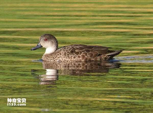 1677678924843029.jpg 318673767a6468afa605e2f7ae1adee3_九雷图片转换器.jpg