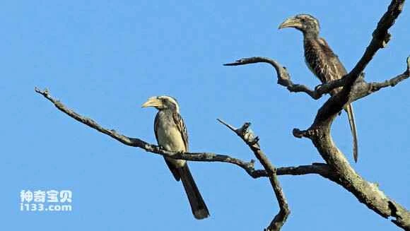 2023050467696993.jpg bcf0be59ccbf6c812da778d1b23eb13532fa40ee_九雷图片转换器.jpg