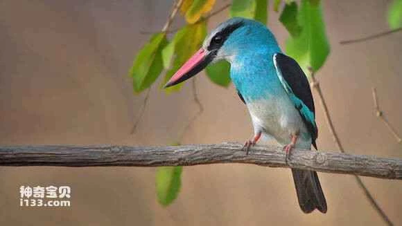 2023042721193439.jpg 8b6af82ad40735fa6e9eba6d95510fb30e24086f_九雷图片转换器.jpg