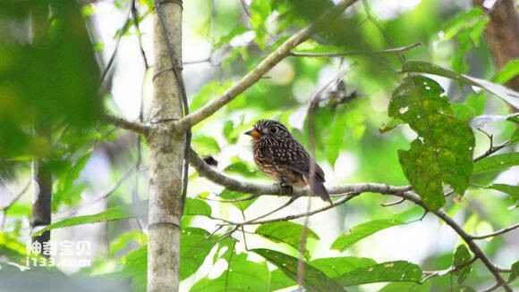 2023050911767582.jpg 454a63d6912397dd374590c55382b2b7d1a287a2_九雷图片转换器.jpg