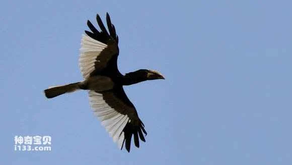 2023050316367162.jpg 8fb116300a55b3192cbe2ebe4ea98226cefc172d_九雷图片转换器.jpg