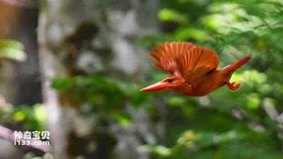 2023042612589131.jpg fac625ec2e738bd454f116e5aa8b87d6257ff982_九雷图片转换器.jpg