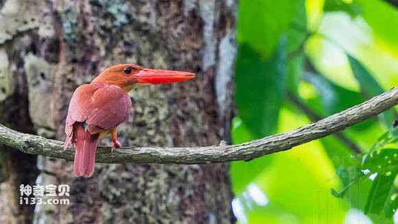 2023042614477953.jpg 2951b255564e9258a80d213a9782d158cdbf4e98_九雷图片转换器.jpg